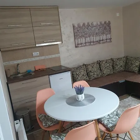 Nikolina Апартаменты